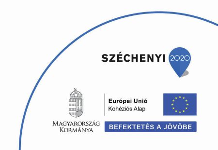 Szervezeti hatékonyság fejlesztése az egészségügyi ellátórendszerben – Területi együttműködések kialakítása képe